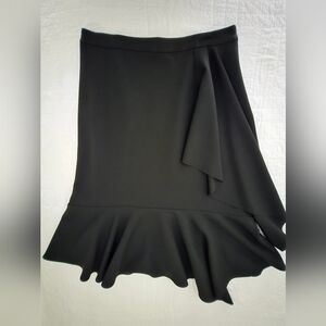 Banana Republic Elegant Black Women's Skirt Size 6 NWOT